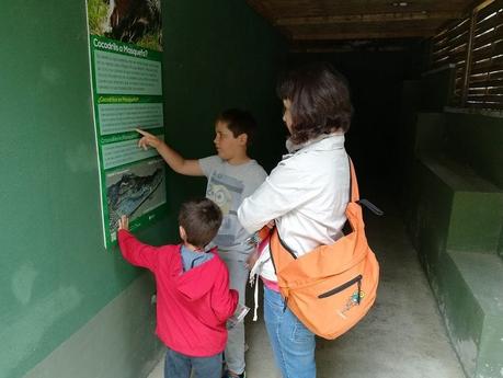 VISITA AL CRARC, un paseo entre reptiles y anfibios