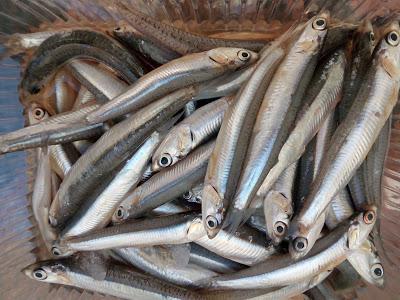 BOQUERONES FRITOS EN ADOBO