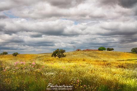 Alentejo: belleza autentica