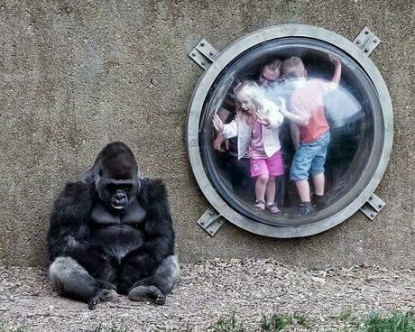 OTRA VERDAD INCÓMODA OTRA VERDAD INCÓMODA