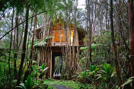 Dreamy-Tropical-Tree-House-2 ▷ El mejor Airbnbs en los Estados Unidos