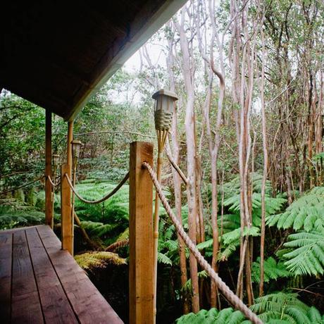 Forest ▷ El mejor Airbnbs en los Estados Unidos