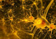 Opciones de tratamiento para la enfermedad de Parkinson La medicación es una parte importante del tratamiento para la enfermedad de Parkinson, ya que puede aliviar los síntomas