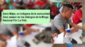 AGREDIDOS 2019 AGREDIDOS 2019