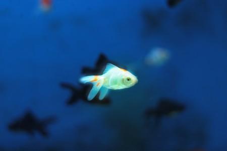 En China El Sobrepeso Se Ha Disparado Hasta Limites Inconcebibles Y No No Es Solo Porque Antes Pasasen Hambre 6