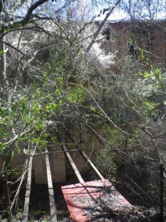 Los puentes del rio Dulce