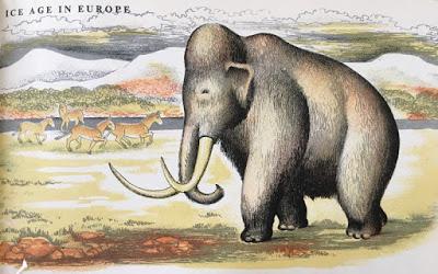 Extinct Animals (Hilary Stebbing) Extinct Animals (Hilary Stebbing)