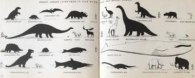 Extinct Animals (Hilary Stebbing) Extinct Animals (Hilary Stebbing)