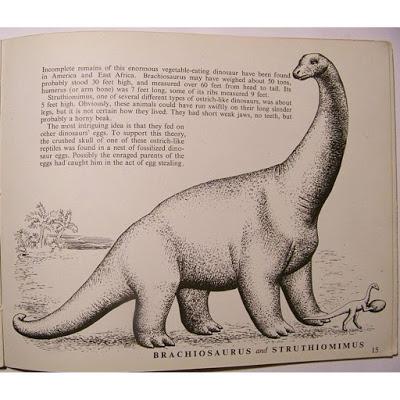 Extinct Animals (Hilary Stebbing) Extinct Animals (Hilary Stebbing)