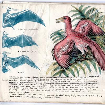 Extinct Animals (Hilary Stebbing) Extinct Animals (Hilary Stebbing)