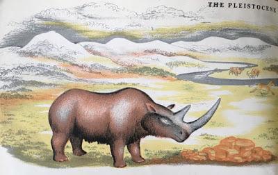 Extinct Animals (Hilary Stebbing) Extinct Animals (Hilary Stebbing)