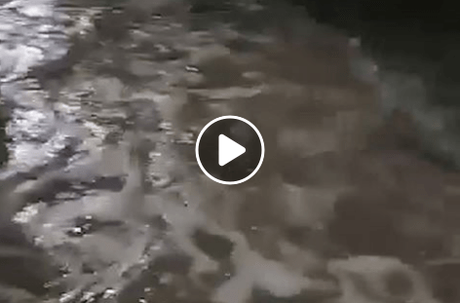 Vídeo: Lluvia deja inundadas colonias de San Luis Potosí