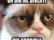 memes famosos animales puedes perder