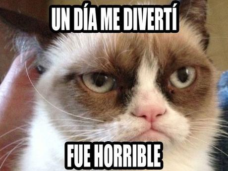 10 MEMES MÁS FAMOSOS DE ANIMALES QUE NO TE PUEDES PERDER !!!