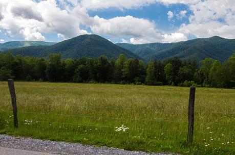 Cades-Cove-loop-rode-Smoky-Mountains-National-Park ▷ Comenta sobre un paseo en bicicleta de Cades Cove en el Parque Nacional Great Smoky Mountains: ¡vimos osos! por los mejores parques nacionales para visitar con niños | Familias de tiempo completo