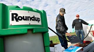 Agrotóxicos Made In Argentina: la Muerte Como Negocio