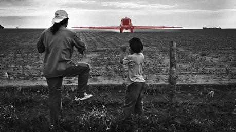 Agrotóxicos Made In Argentina: la Muerte Como Negocio