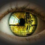 Google para Principiantes Supervisar tu SEO