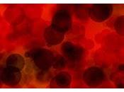 ¿Porque Hiperglicemia daña Vasos Sanguíneos?