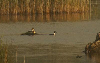 CON BASTANTE RETRASO RESPECTO A 2018