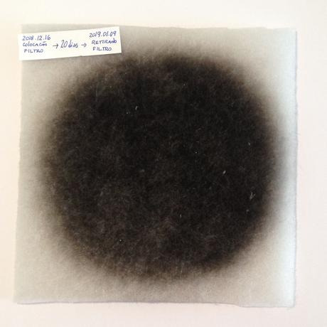 ¿Alergias? La solución puede estar en una ventilación adecuada alergias