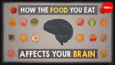 ¿Cómo afectan al cerebro los alimentos que consumimos?