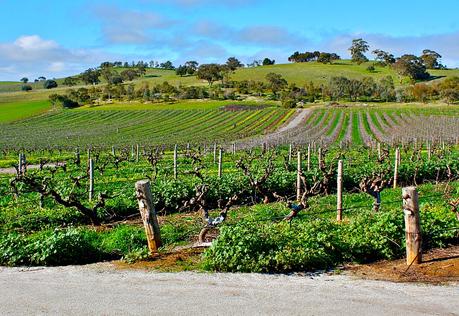 ▷ Haga un comentario sobre el GRAN anuncio: nuestro viaje de 1 año por Australia por 35 increíblemente increíbles bloggers de viajes que debe seguir en 2018 4855853491_fc486089f1_o ▷ Haga un comentario sobre el GRAN anuncio: nuestro viaje de 1 año por Australia por 35 increíblemente increíbles bloggers de viajes que debe seguir en 2018