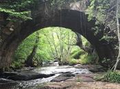 Lista Roja Patrimonio