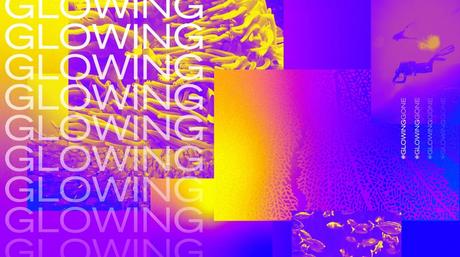 Pantone y Adobe se unen para crear una paleta de colores inspirados en corales en peligro de extinción Pantone y Adobe se unen para crear una paleta de colores inspirados en corales en peligro de extinción