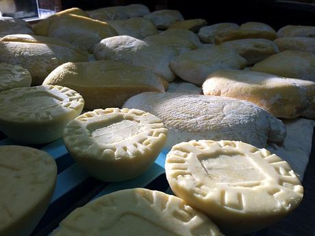 cf071ce5-2ce2-4a7d-9b79-28b69aa4735e?t=1559903006016 ▷ 5 quesos que tienes que probar en Asturias ✅