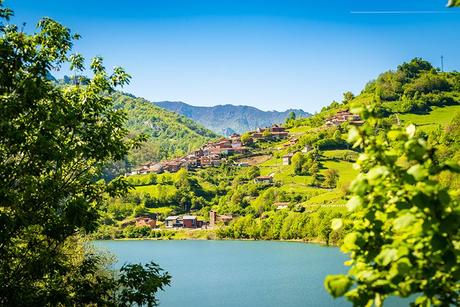 51f5c255-e834-4f5f-85cf-596d6e79fd75?t=1559902755147 ▷ 5 quesos que tienes que probar en Asturias ✅