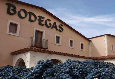 Viñedos y Bodegas Gormaz, vinos característicos sorianos de Ribera del Duero