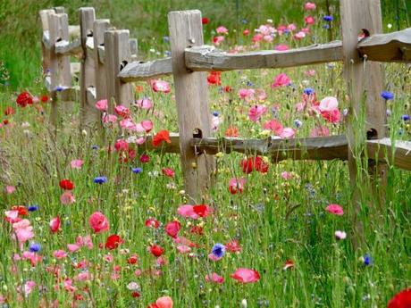 Top 7: ¡Recomendaciones de verano!