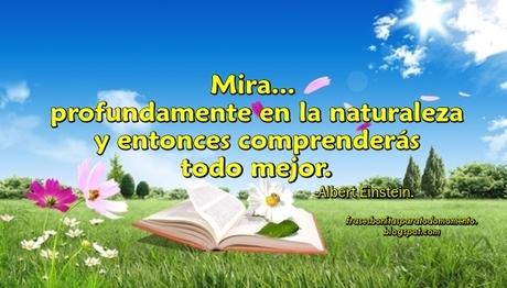 Frases de amor a la naturaleza, Día de La Tierra, Vivir en Verde, Frases de la vida, Frases de sueños, Vivir para volar, Frases para cuidar el medio ambiente, 