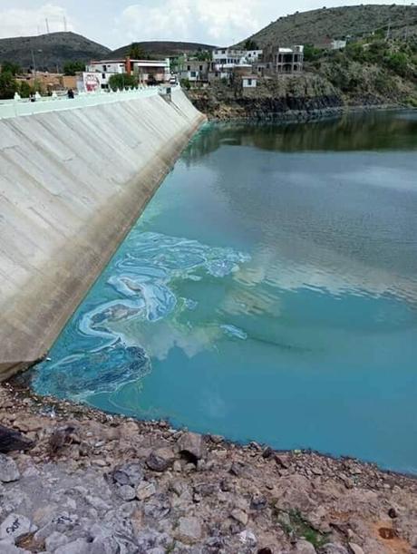Sigue la contaminación en  la presa de Mexquitic