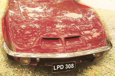 La Preguntita del Domingo 308