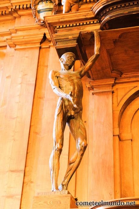 teatro-anatomico-de-la-universidad-de-bolonia Que ver en Bolonia en un día