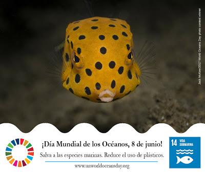 Día Mundial de los Océanos, 8 de junio (ONU)