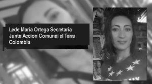 CAÍDOS EN 2019 CAÍDOS EN 2019