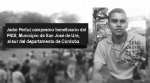 CAÍDOS EN 2019 CAÍDOS EN 2019