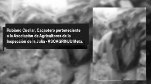 CAÍDOS EN 2019 CAÍDOS EN 2019