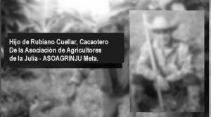 CAÍDOS EN 2019 CAÍDOS EN 2019