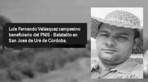 CAÍDOS EN 2019 CAÍDOS EN 2019