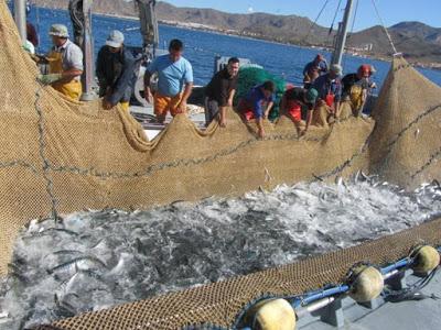 Murcia que hermosa eres, 2019