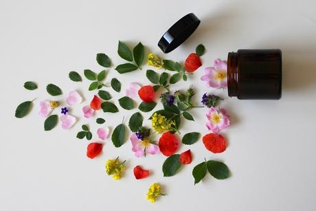 Cosmética que NO Experimenta con Animales Cosmética que NO Experimenta con Animales