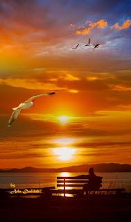 ESTÁ ALEGRE LA TARDE...