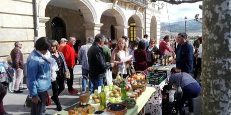 ¿Cómo revitalizar y regenerar el centro histórico de un municipio (burgalés)?