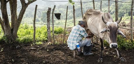 Alarma por asesinatos a defensores en Colombia