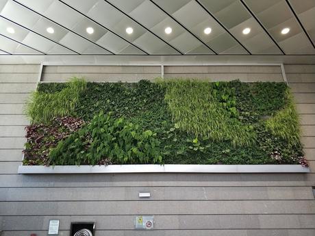 Jardines verticales en Torre Realia Madrid