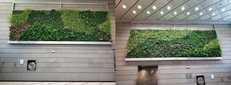 4 de junio Jardines verticales en Torre Realia Madrid